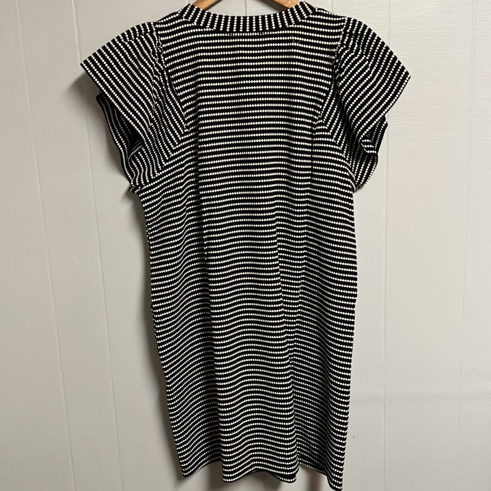 NWT Entro Black and White Striped Women's Dress Large New with Tags - Picture 9 of 11